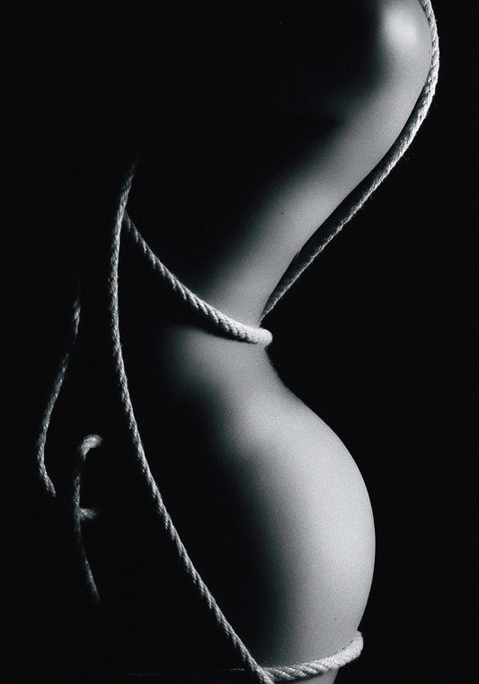 Erotica Rope Glass Wall Art