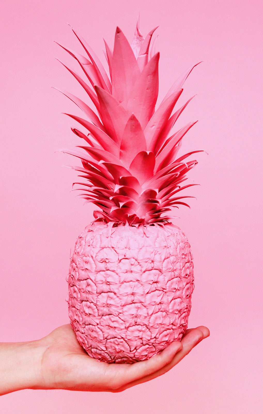 Pink Pineapple Glass Wall Art